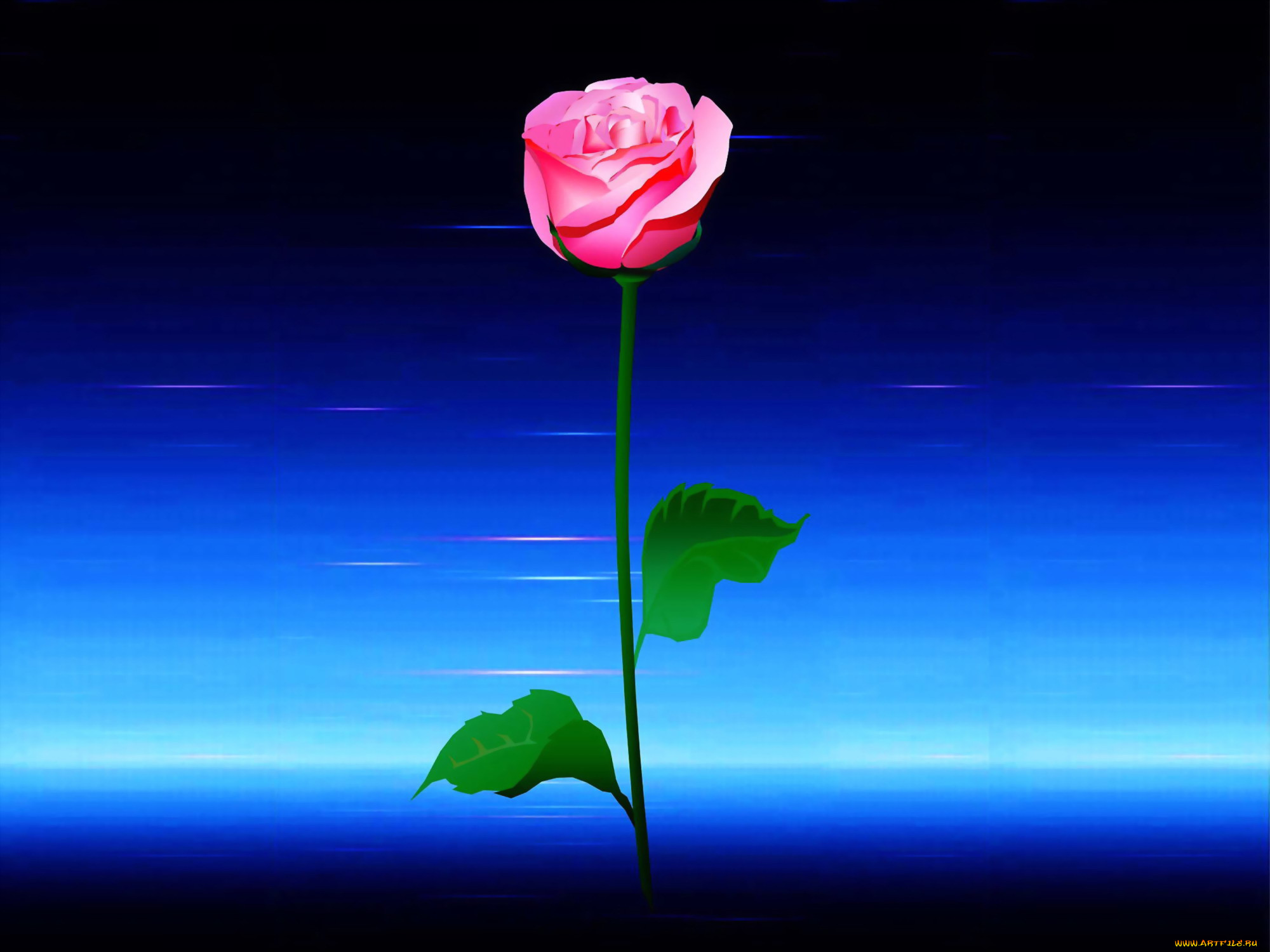 , , , v1, 3, 